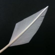 Pale Grey Arrow Head Feather